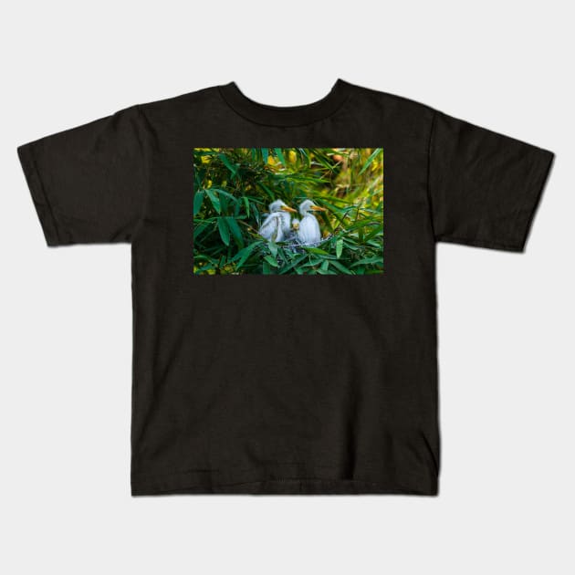 Three Great White Egret Chicks on the Nest. Cute baby birds photography. Kids T-Shirt by kstanvir